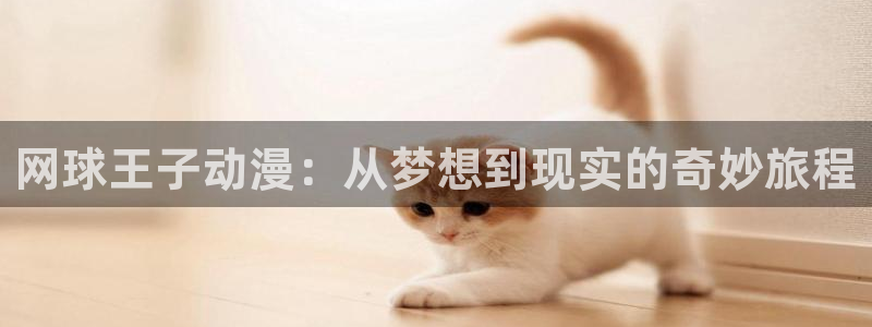 omofun动漫完整版免费观看：网球王子动漫：从梦想到现实的奇妙旅程