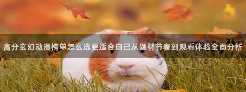 omofun新番更新：高分玄幻动漫榜单怎么选更适合自己从题材节奏到观看体验全面分析