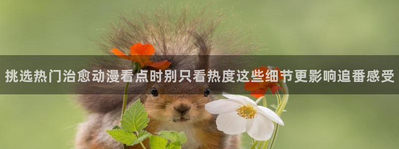 omofun动漫最新更新：挑选热门治愈动漫看点时别只看热度这些细节更影响追番感受