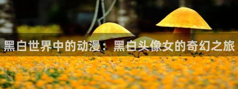 omofun动漫官网入口在线观看：黑白世界中的动漫：黑白头像女的奇幻之旅