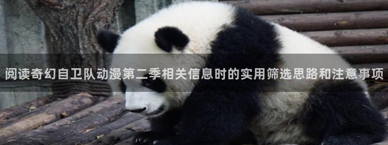 omofun动漫在线：阅读奇幻自卫队动漫第二季相关信息时的实用筛选思路和注意事项