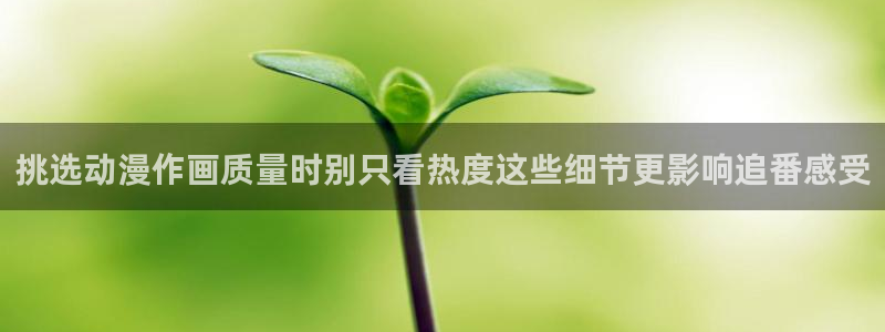 omofun最新新作：挑选动漫作画质量时别只看热度这些细节更影响追番感受