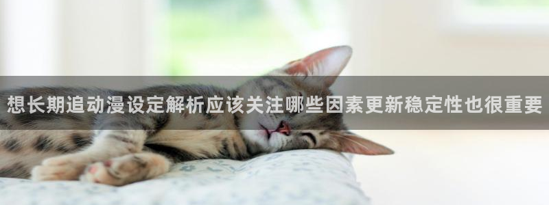 omofun完结动漫大全：想长期追动漫设定解析应该关注哪些因素更新稳定性也很重要