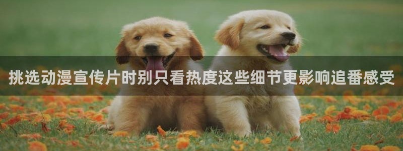 2026omofun动漫最新更新