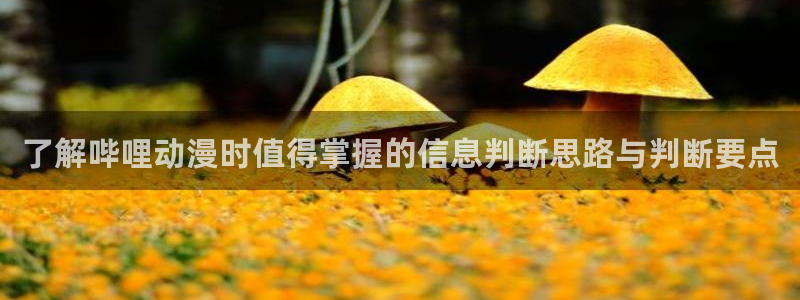omofun动漫最新排行榜