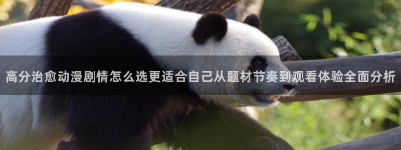 omofun动漫搜索